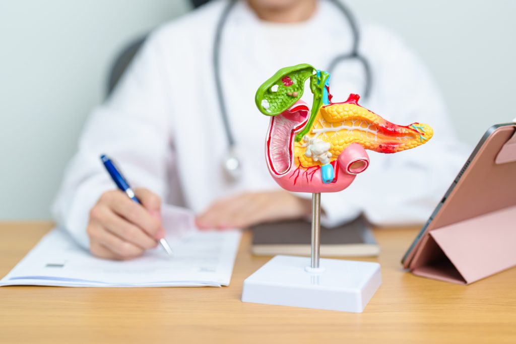 Médico preenchendo ficha ao lado de modelo anatômico do pâncreas e um tablet.