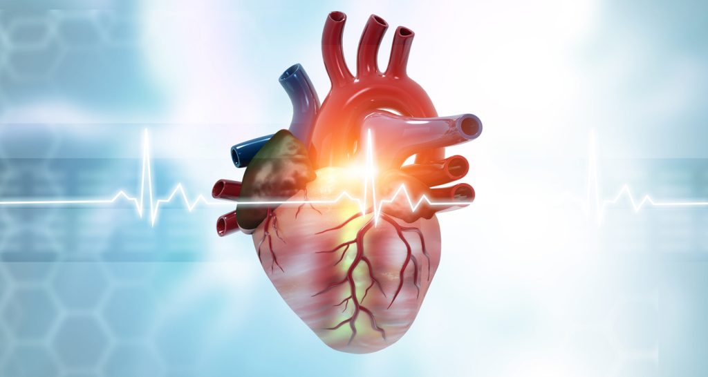 Ilustração 3D de um coração humano anatômico com um brilho no centro e uma linha luminosa de eletrocardiograma (batimento cardíaco) cruzando a imagem horizontalmente. O fundo é em tons de azul claro com padrões científicos hexagonais, representando o conceito de saúde, prevenção e o estudo das doenças cardiovasculares.