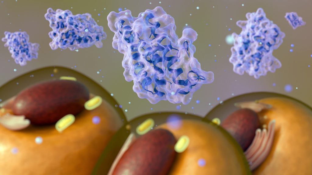 Ilustração científica em 3D mostrando moléculas de proteínas em tons de azul e roxo interagindo com células. A imagem representa o funcionamento celular que ocorre durante o processo de resistência à leptina no organismo.
