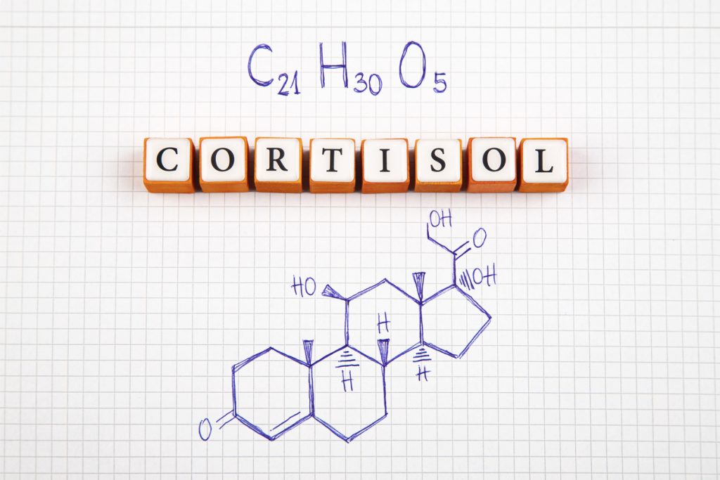 Palavra "cortisol" formada com blocos ao lado da fórmula química e estrutura molecular desenhadas em papel quadriculado, ilustrando o hormônio cortisol